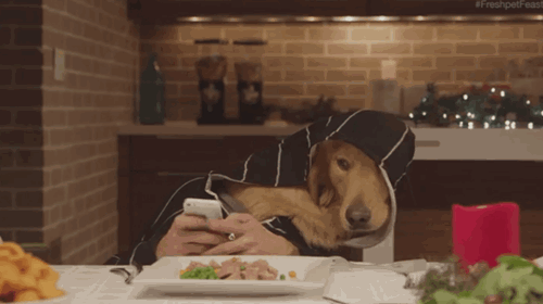 gif (6)