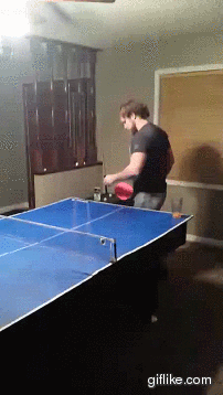 gif (23)