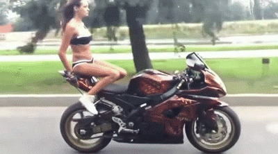 gif (8)
