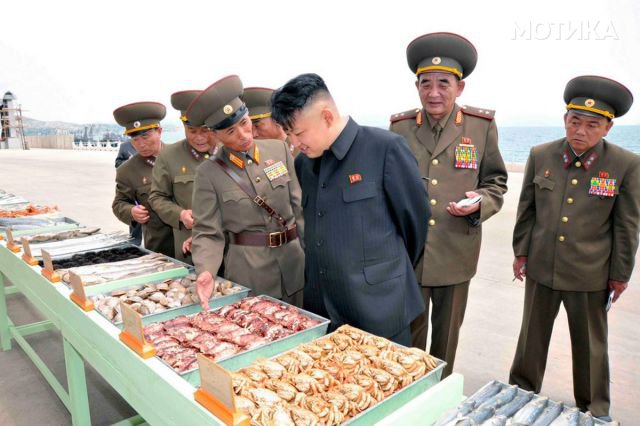 kim (77)