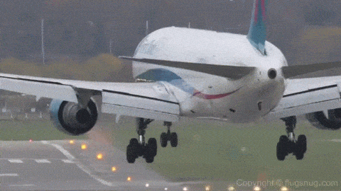 gif (11)