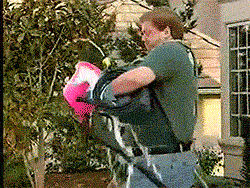 gif (2)