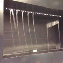 g (1)
