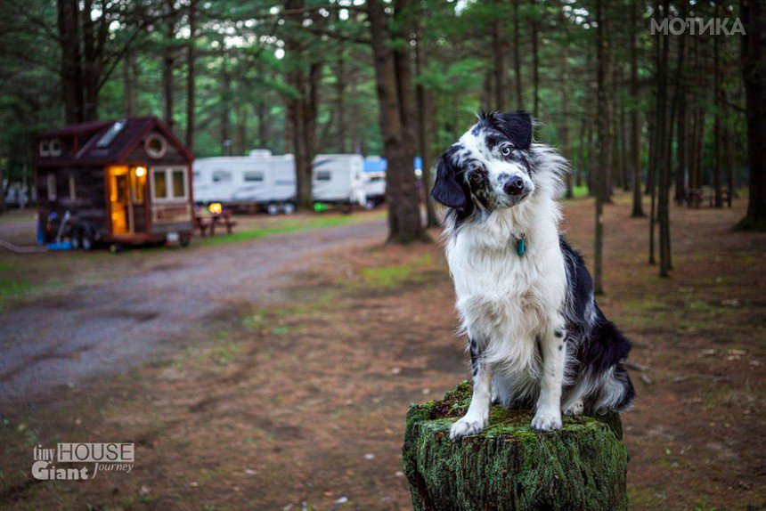 tiny-house-giant-journey-mobile-home-jenna-guillame-22