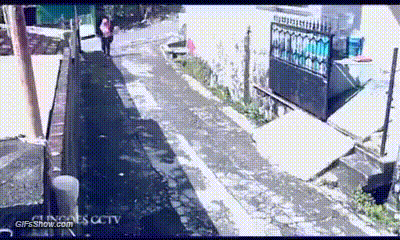 gif (15)