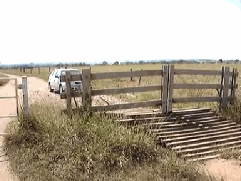 gif (2)