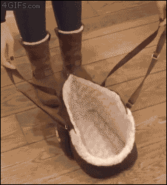 gif (26)