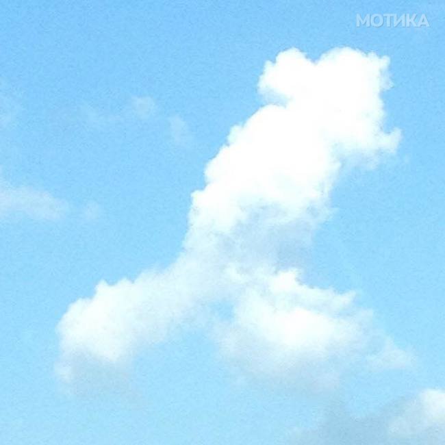k18