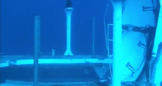 gif (1)