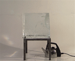 gif (11)