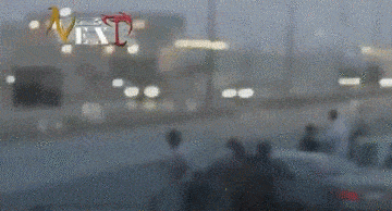 gif (2)