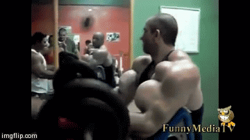 gif (20)