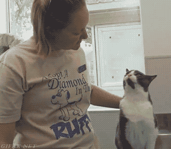 gif (29)