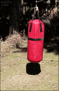 gif (3)