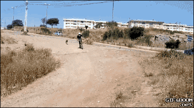 gif (4)