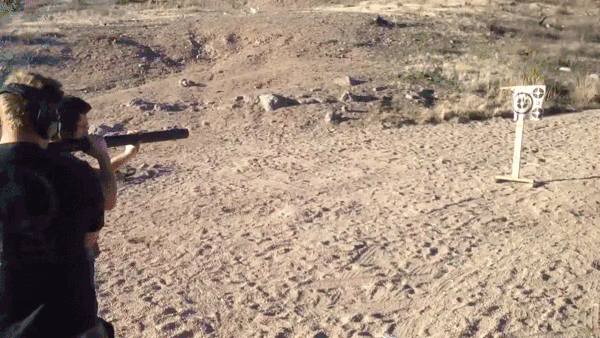gif (6)