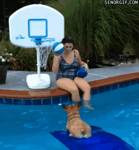gif (7)