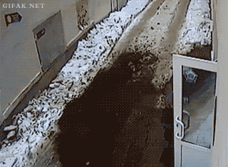 gif (14)