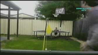 gif (24)