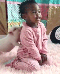 gif (19)