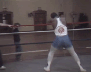 gif (6)