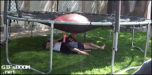 gif (13)
