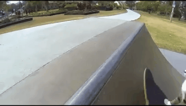 gif (20)