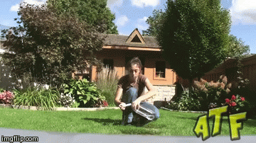gif (24)