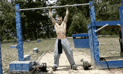 gif (5)