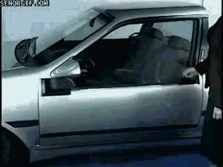 gif (7)