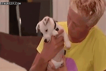 gif (8)