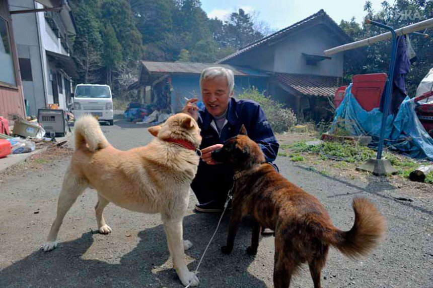 fukushima-radioactive-disaster-abandoned-animal-guardian-naoto-matsumura-17