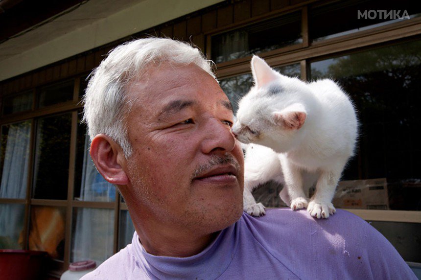 fukushima-radioactive-disaster-abandoned-animal-guardian-naoto-matsumura-19