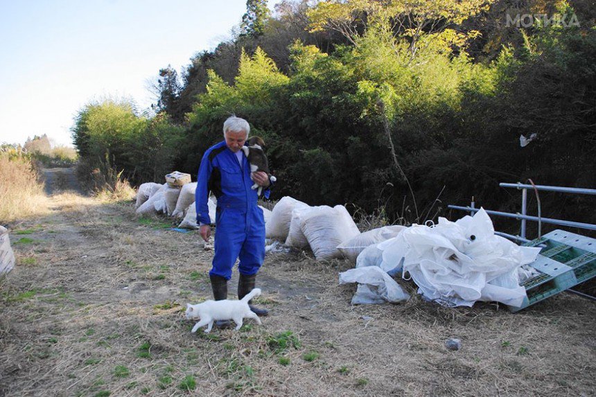 fukushima-radioactive-disaster-abandoned-animal-guardian-naoto-matsumura-3