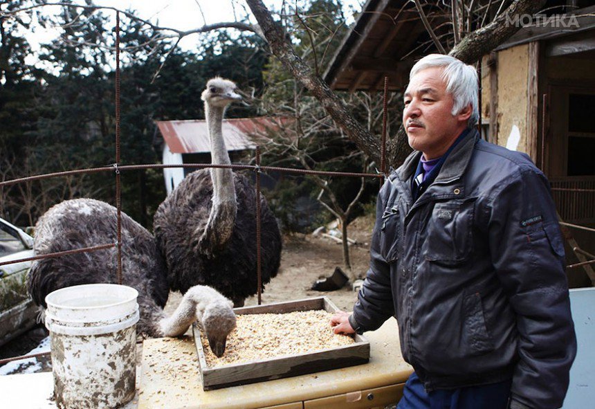 fukushima-radioactive-disaster-abandoned-animal-guardian-naoto-matsumura-9