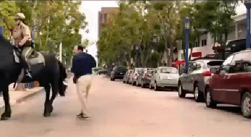 gif (1)