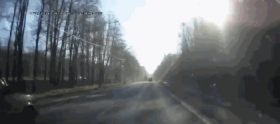 gif (13)
