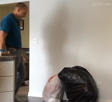 gif (22)