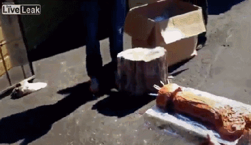 gif (4)
