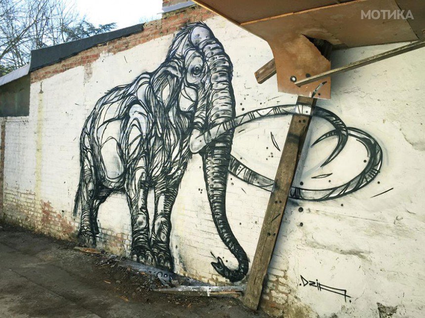 street-art-geometric-line-animals-dzia-belgium-13