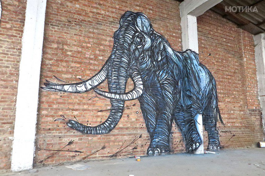 street-art-geometric-line-animals-dzia-belgium-2