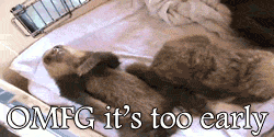 gg (5)