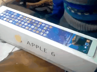 gif (12)