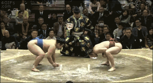 gif (11)