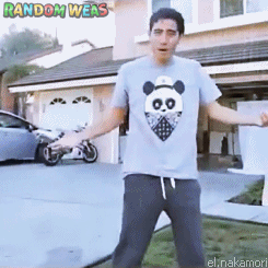 gif (14)