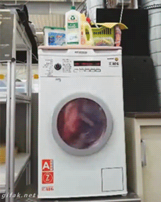 gif (9)