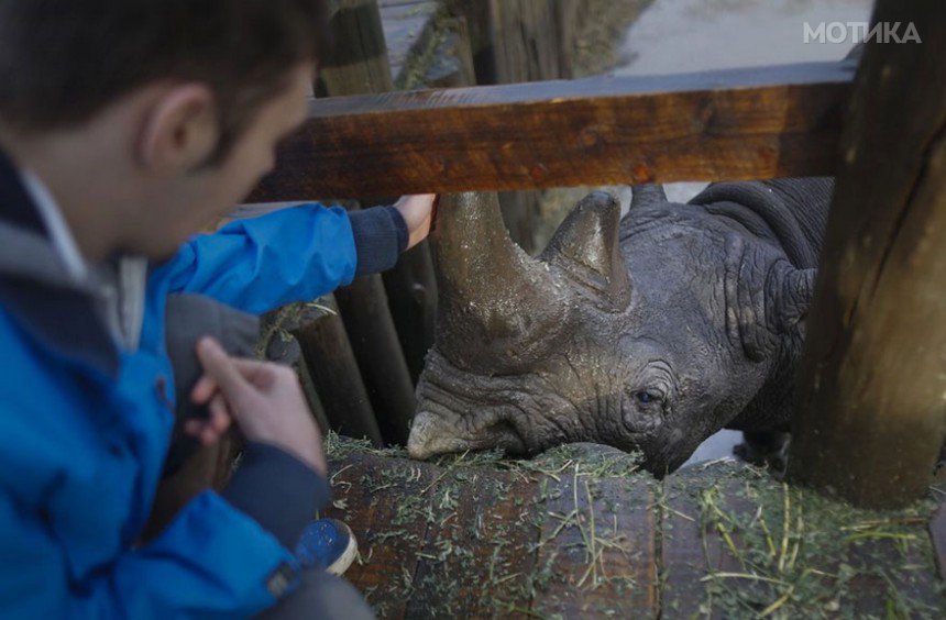 last-northern-white-rhinoceros-conservation-rangers-kenya-9