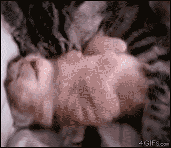 gif (13)