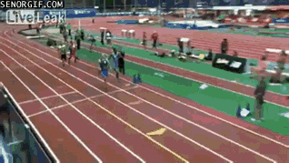 gif (20)