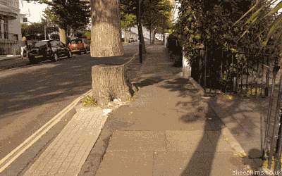 gif (26)
